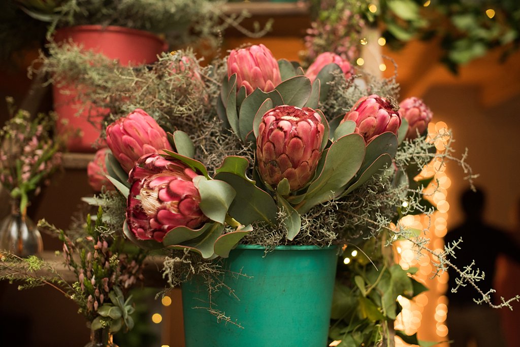 Angelique_Smith_Photography_Franschhoek_K&M-771.jpg