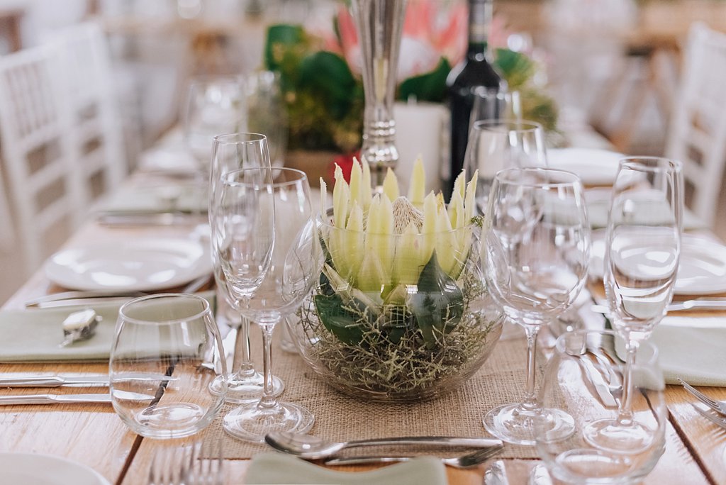 Angelique_Smith_Photography_Franschhoek_K&M-15.jpg
