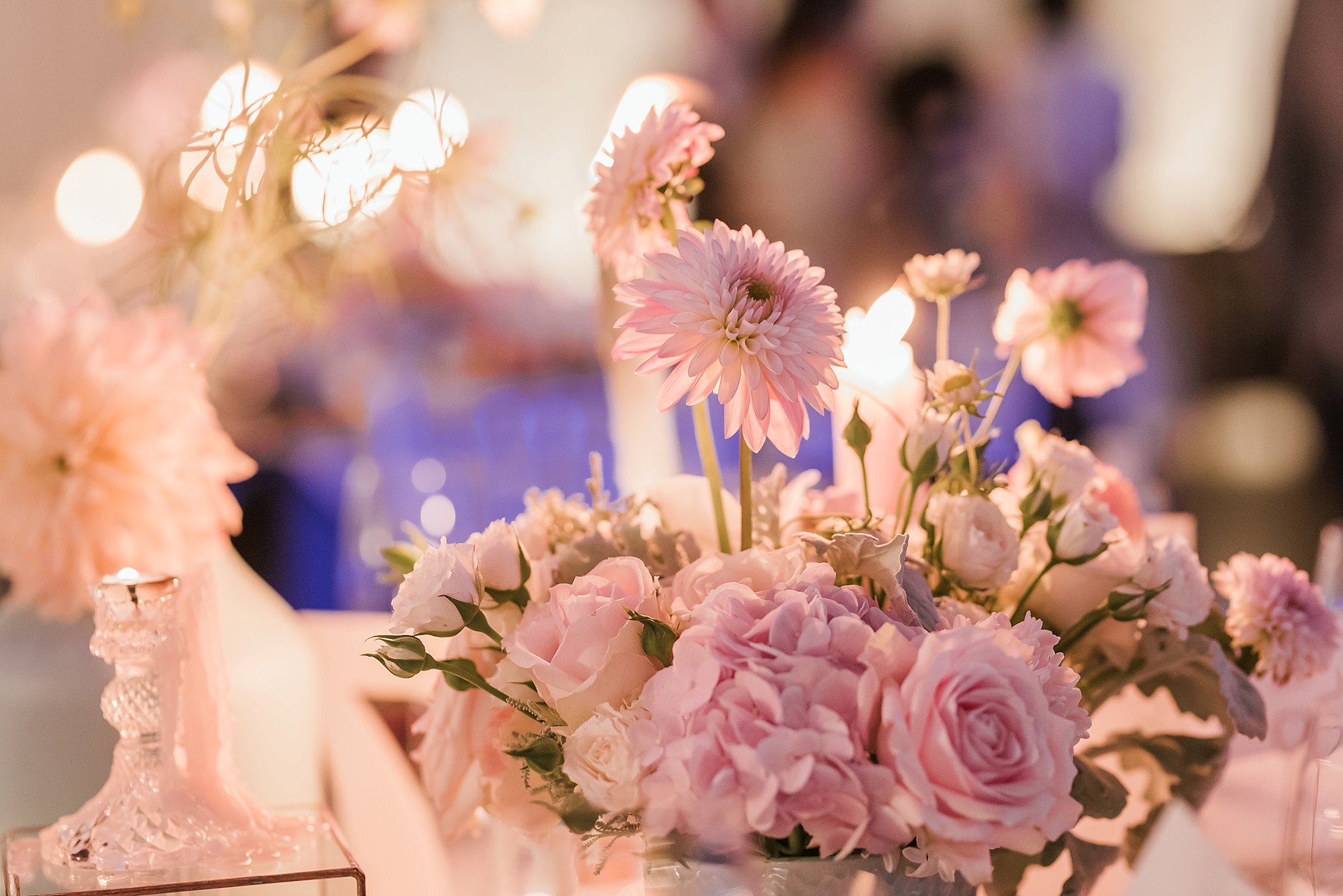 Angelique_Smith_Photography_Nooitgedacht_WSM-887.jpg