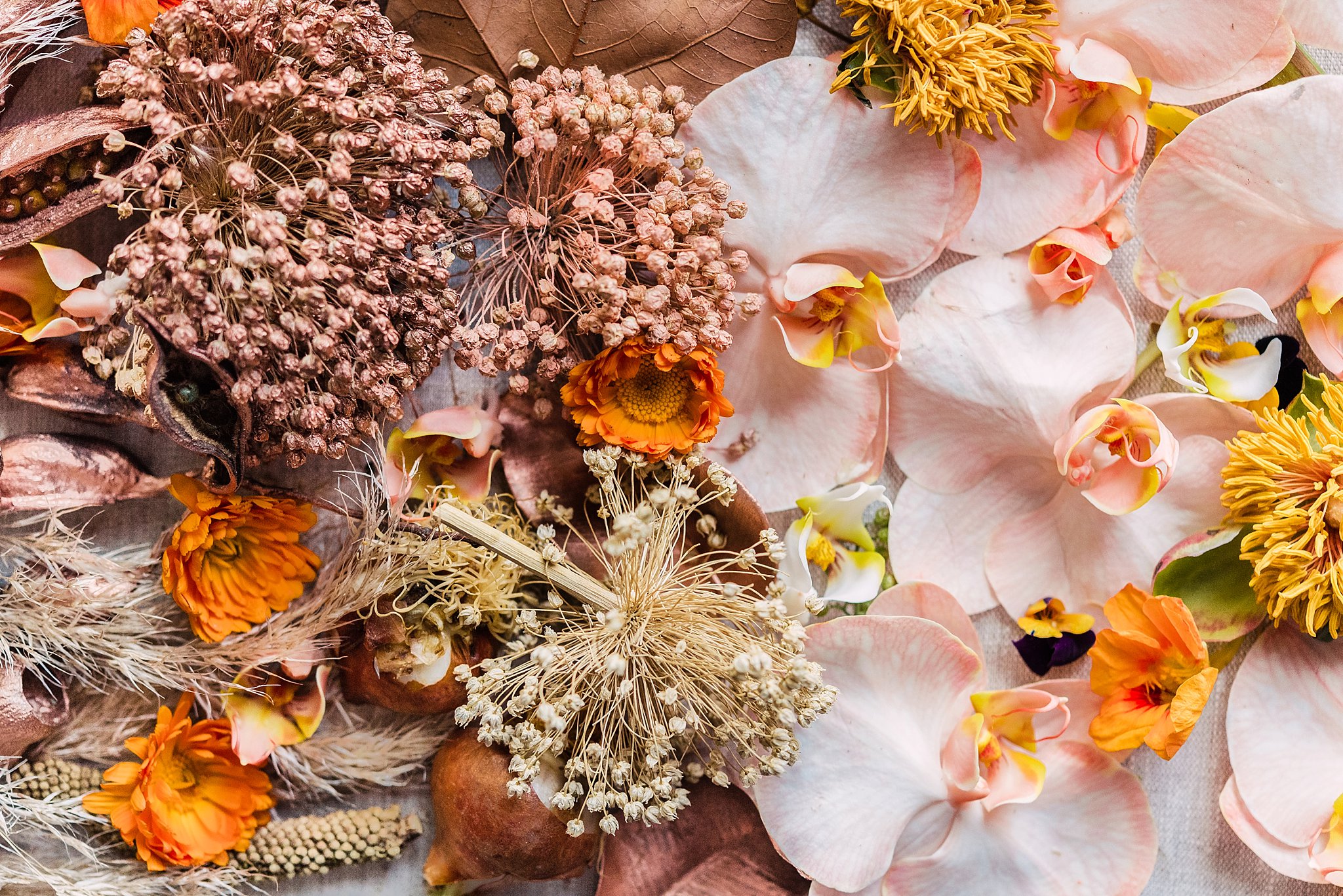 Angelique_Smith_Photography_Fleur_le_Cordeur-4.jpg