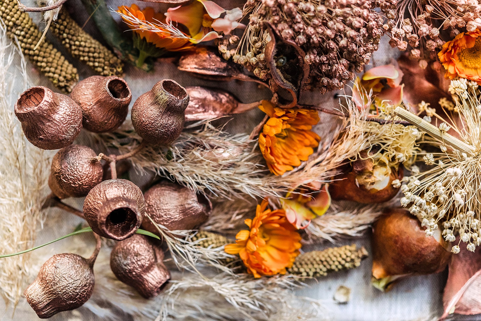 Angelique_Smith_Photography_Fleur_le_Cordeur-5.jpg