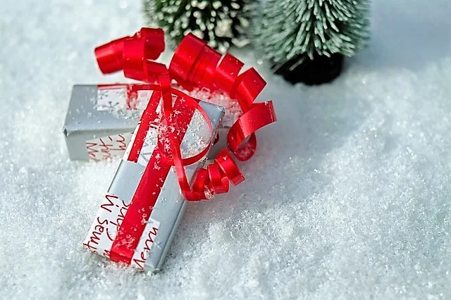 wrapped gift on snow.jpg