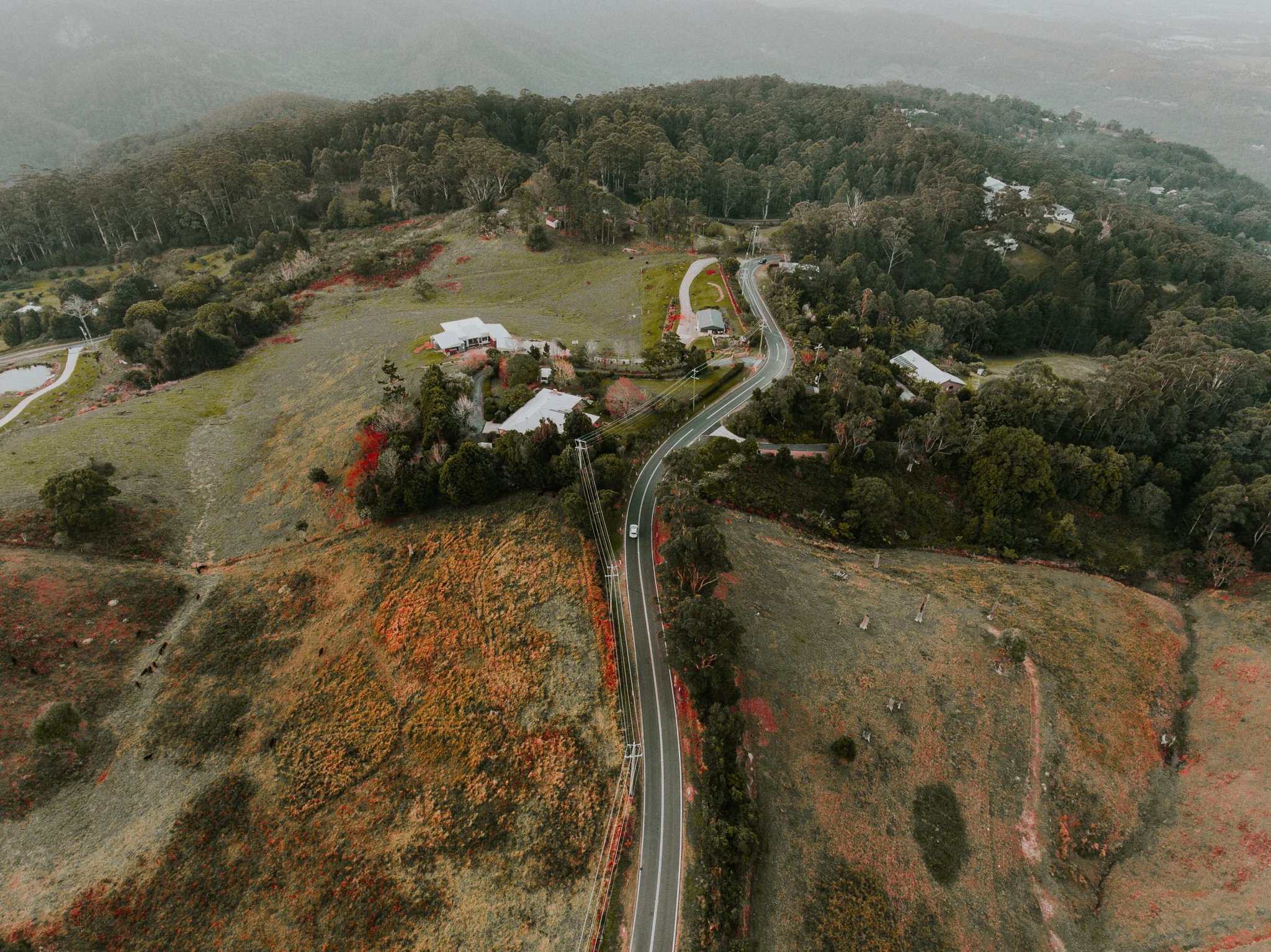 tamborine-mountain-stock-photo-benjaminandrew.jpg