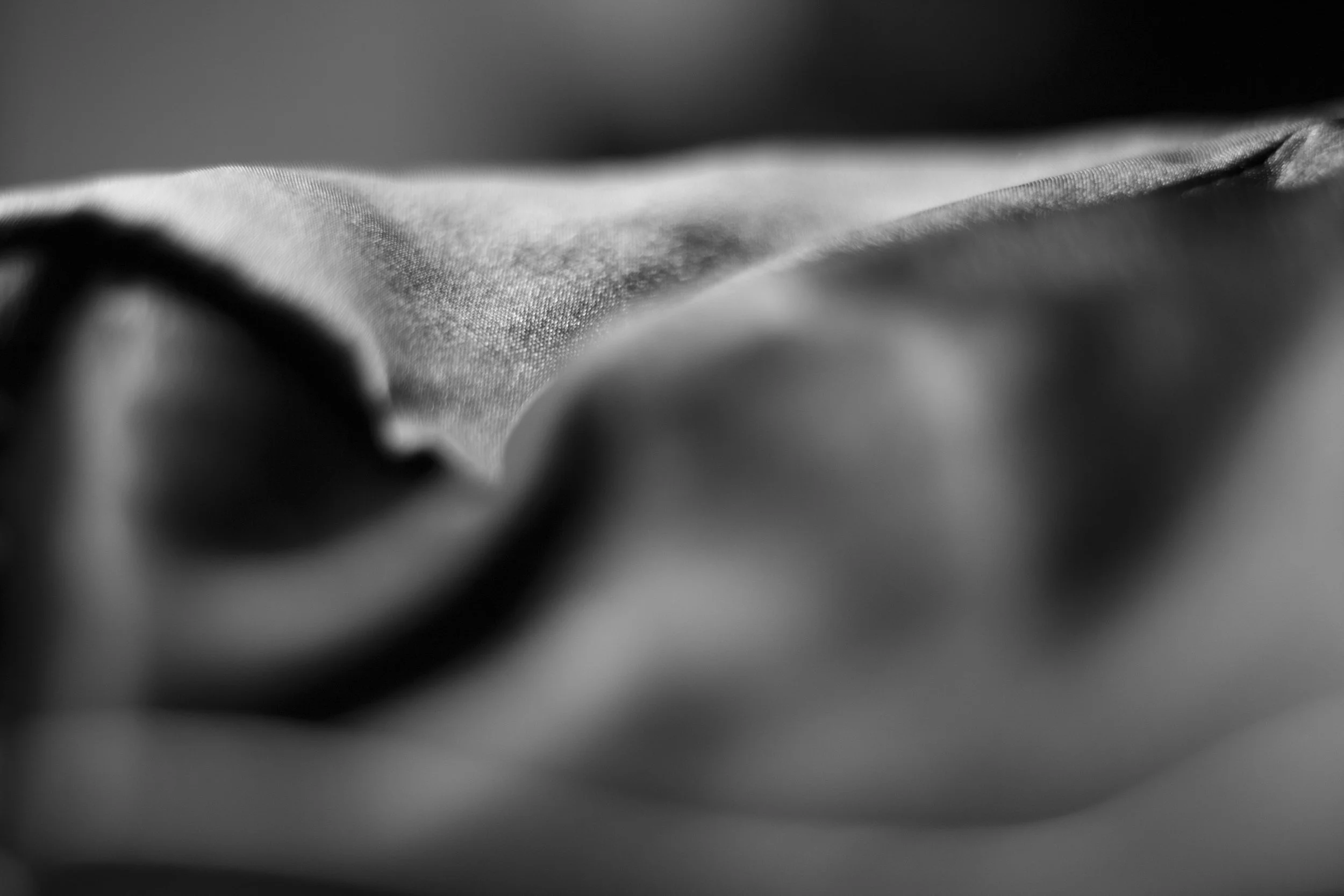 _MG_9800.jpg