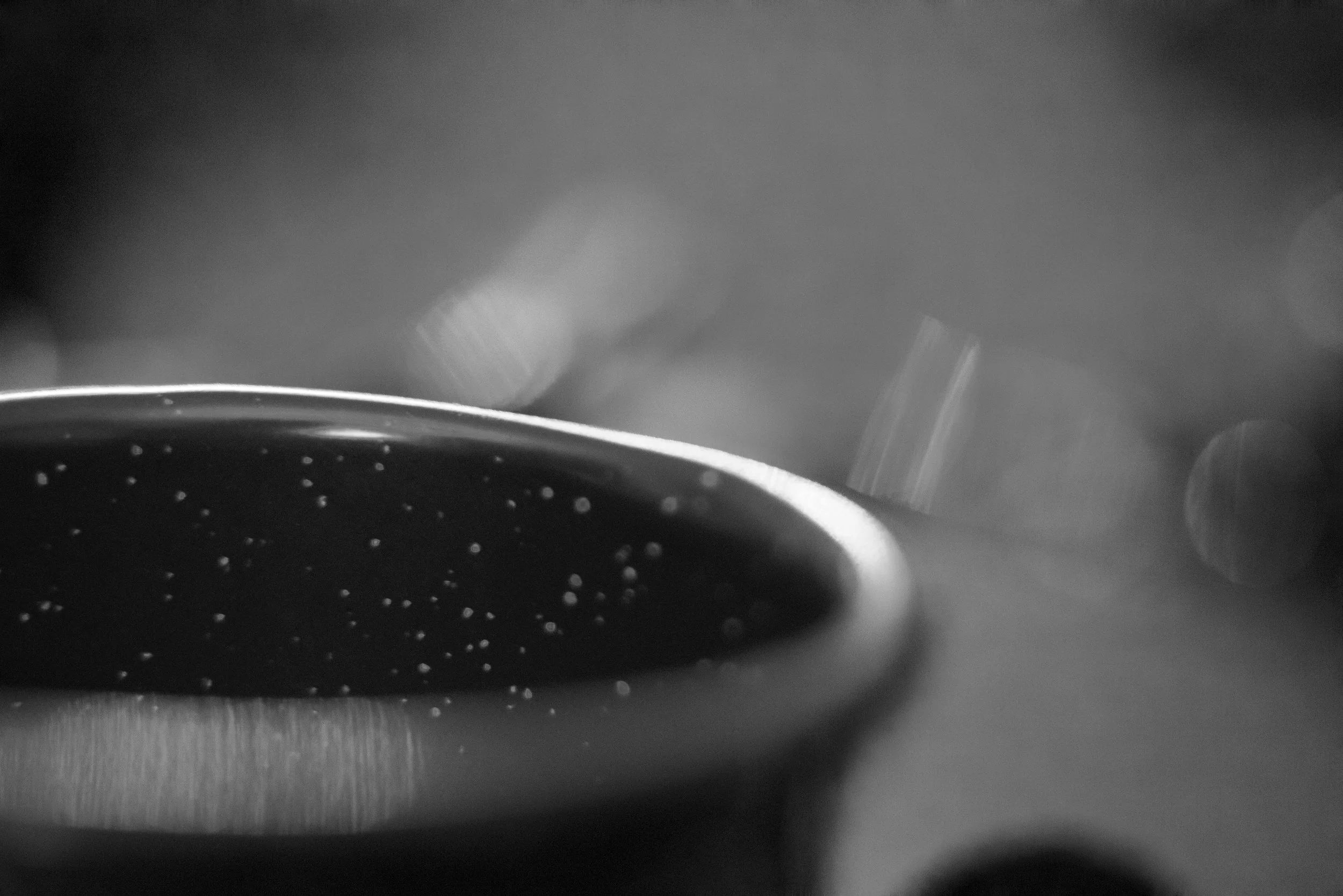 _MG_9790bw2.jpg