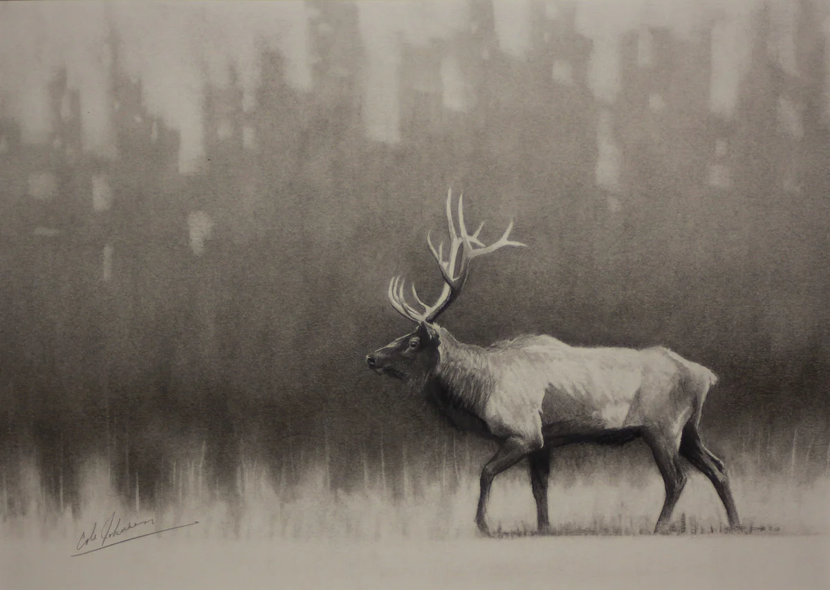 Elk Study