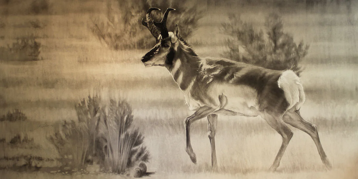 e Pronghorn.jpg