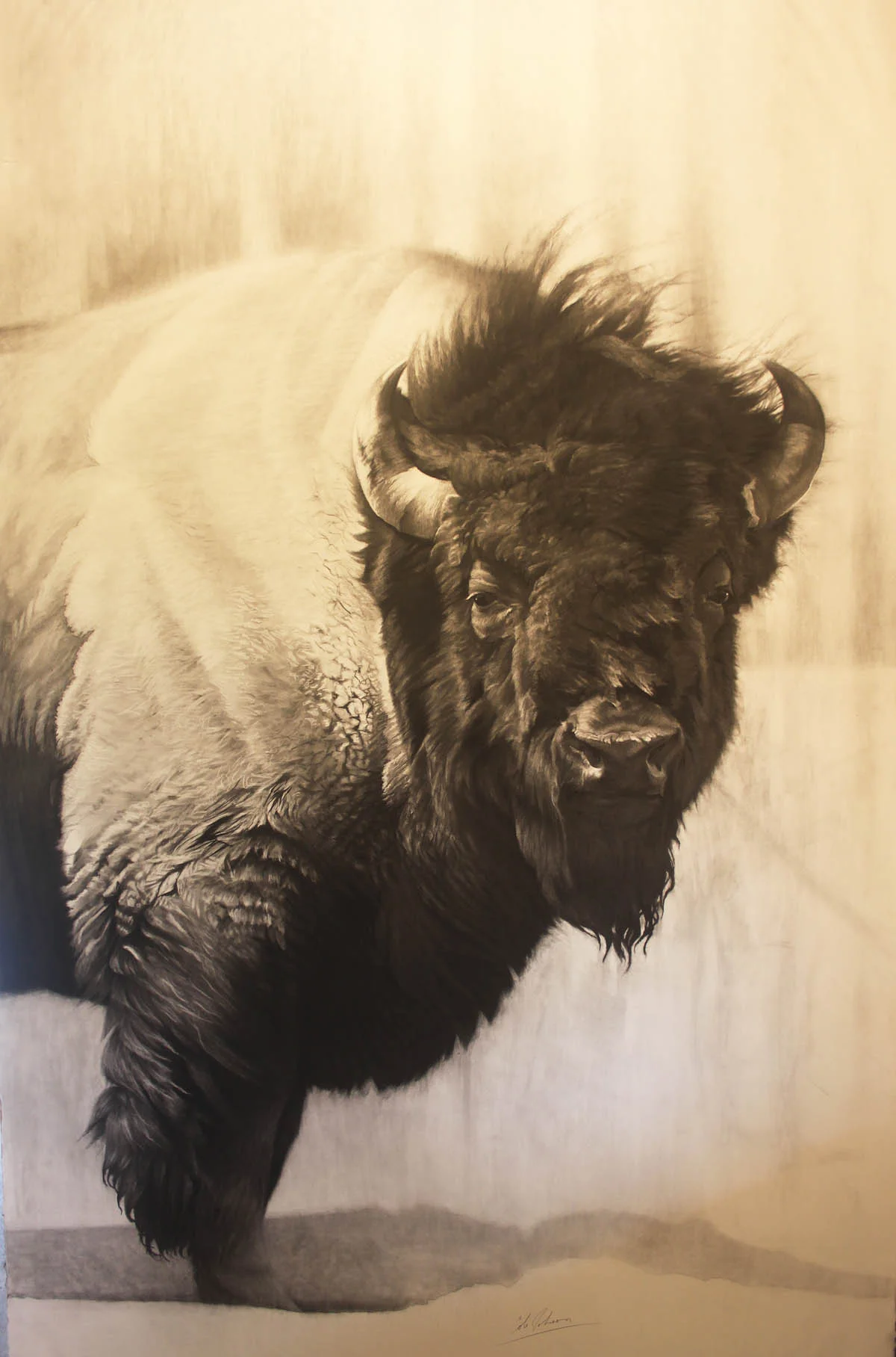 e 7ft Bison 1.jpg