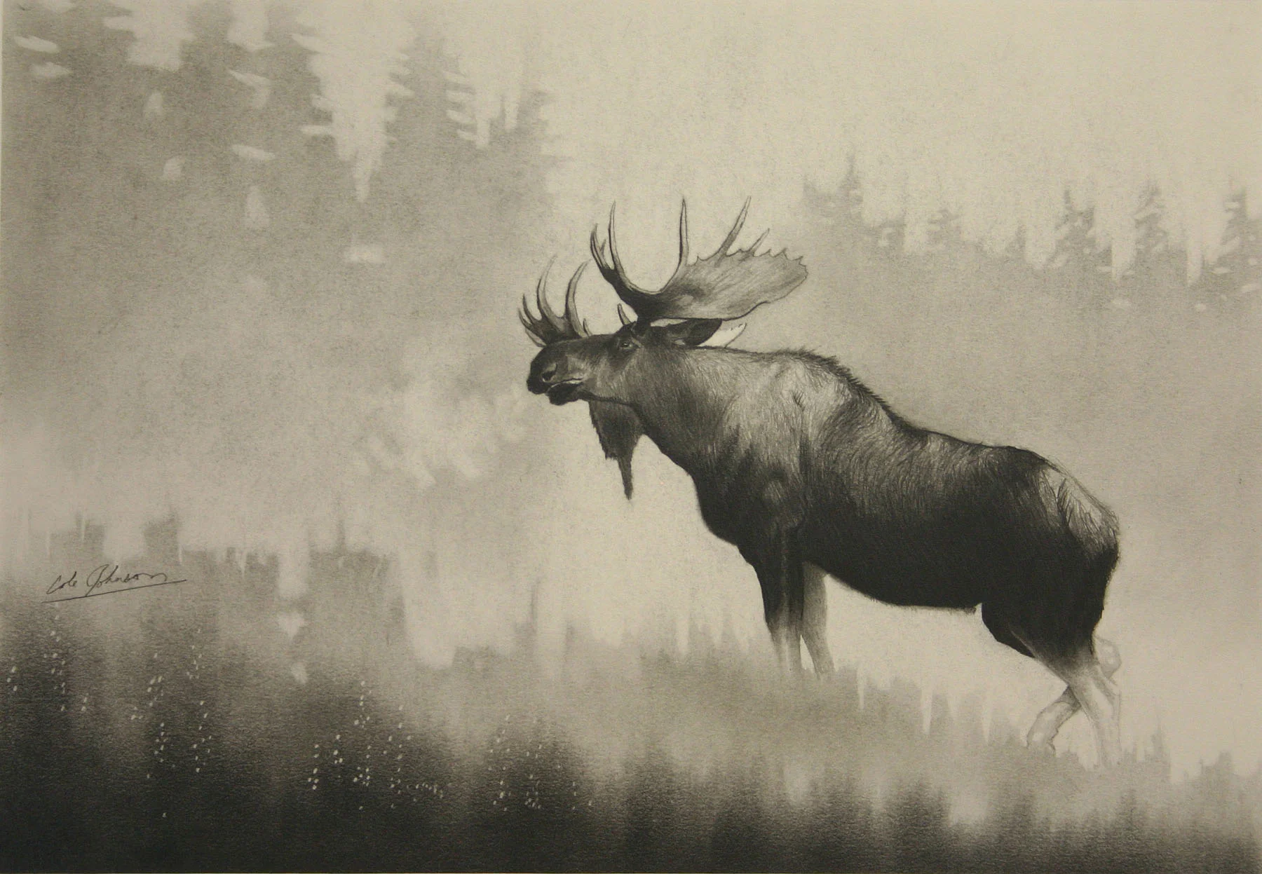 e Bull Moose.jpg