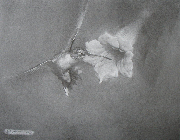 Hummingbird.jpg