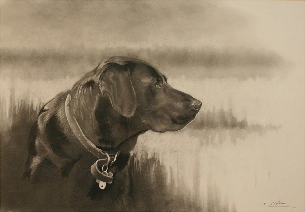 e Black Lab 1a.jpg