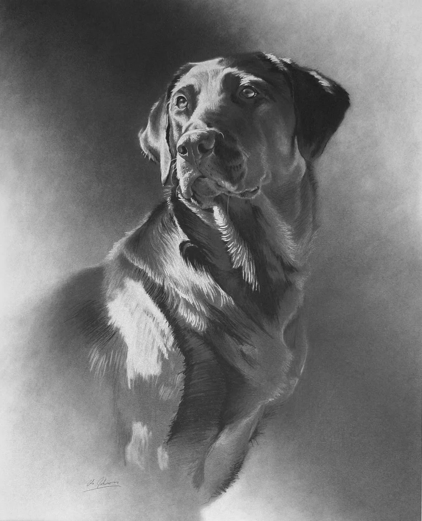 e Black Dog.jpg