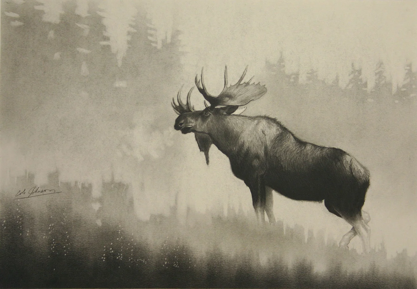 e Bull Moose.jpg