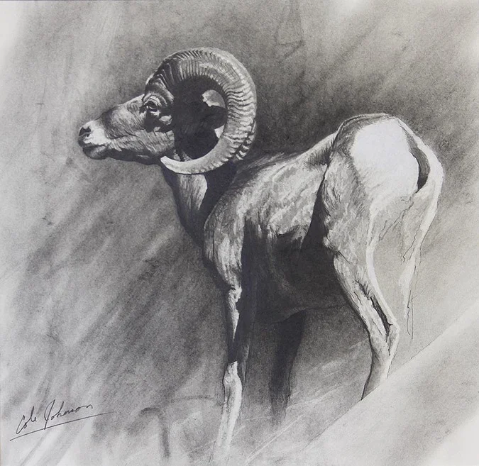e Desert Ram.jpg