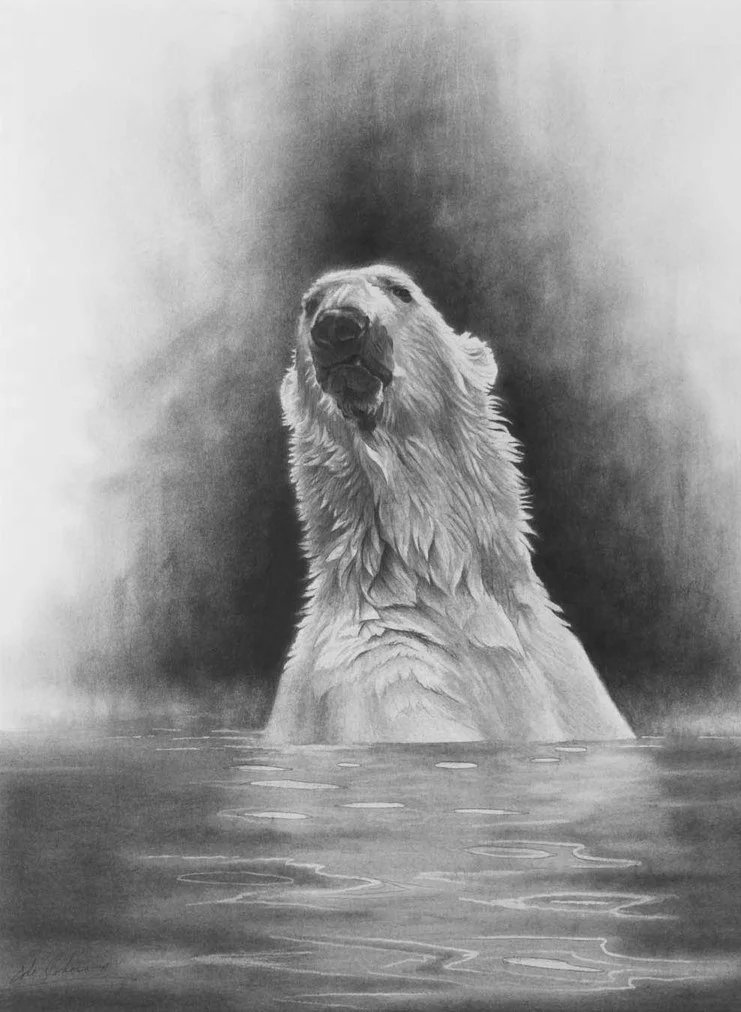 e Great White Bear.jpg