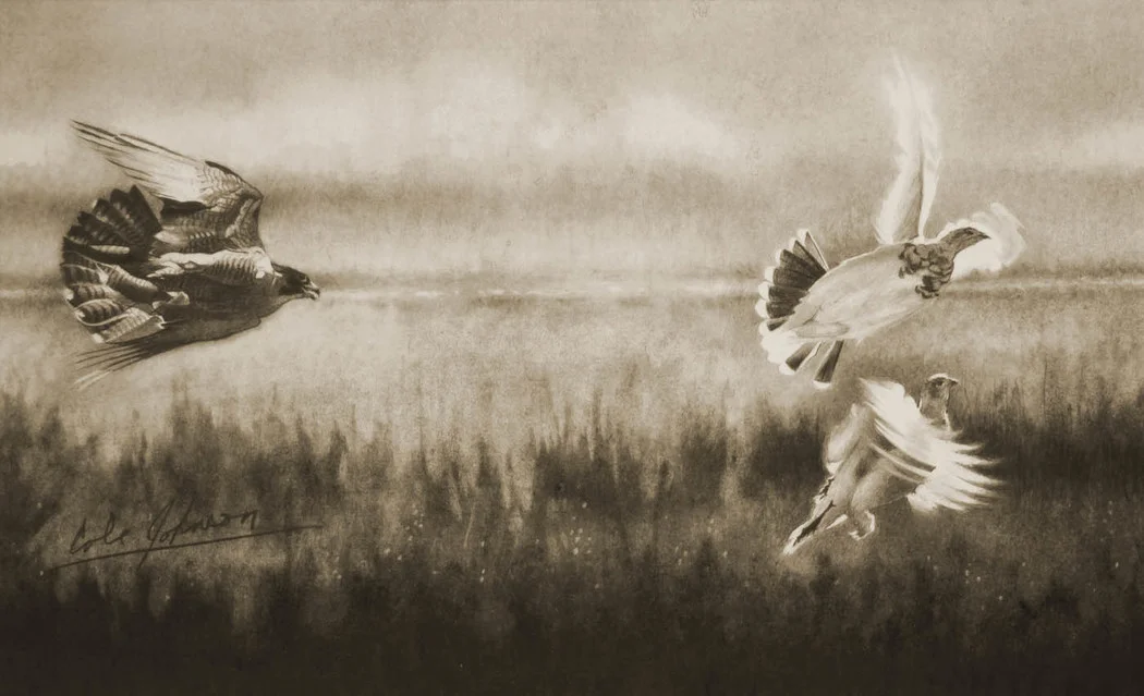 e Tundra Tail Chace.jpg