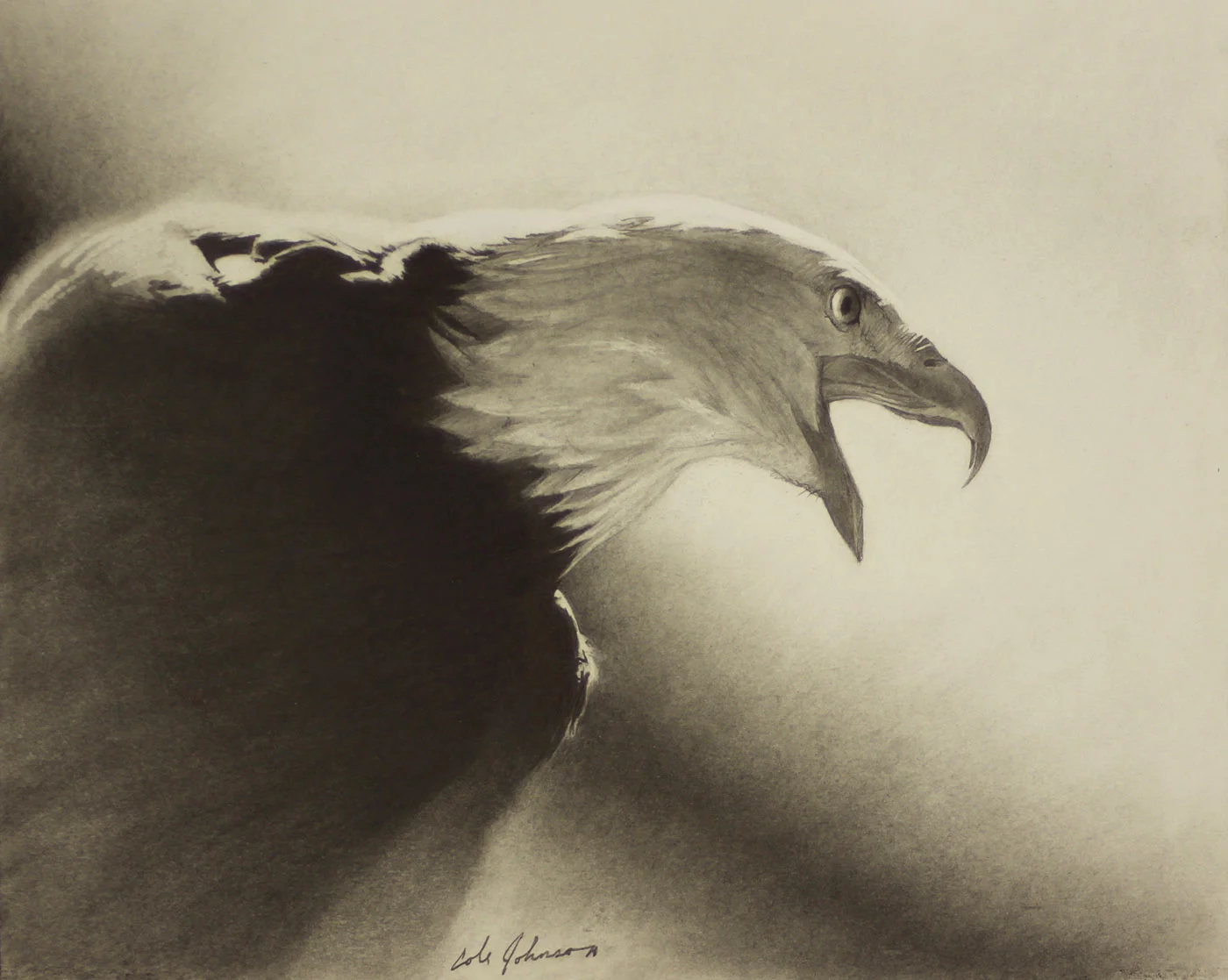 e Eagle study.jpg