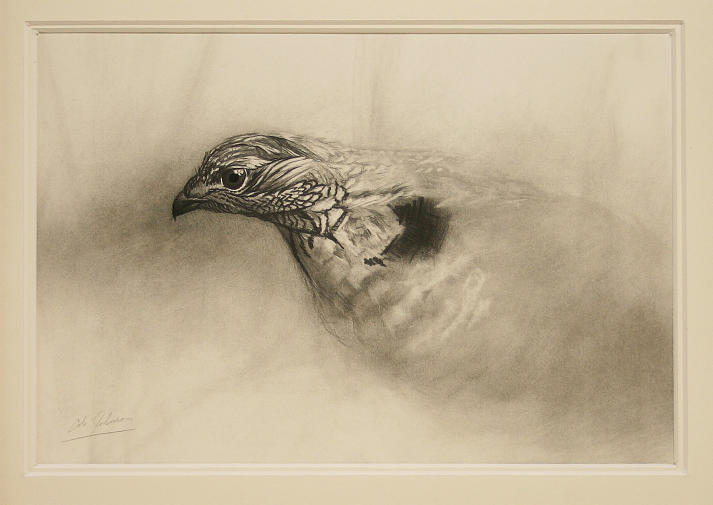 e Grouse Study.jpg