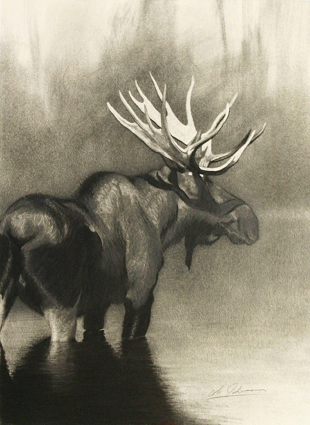 e Bull Moose 1.jpg