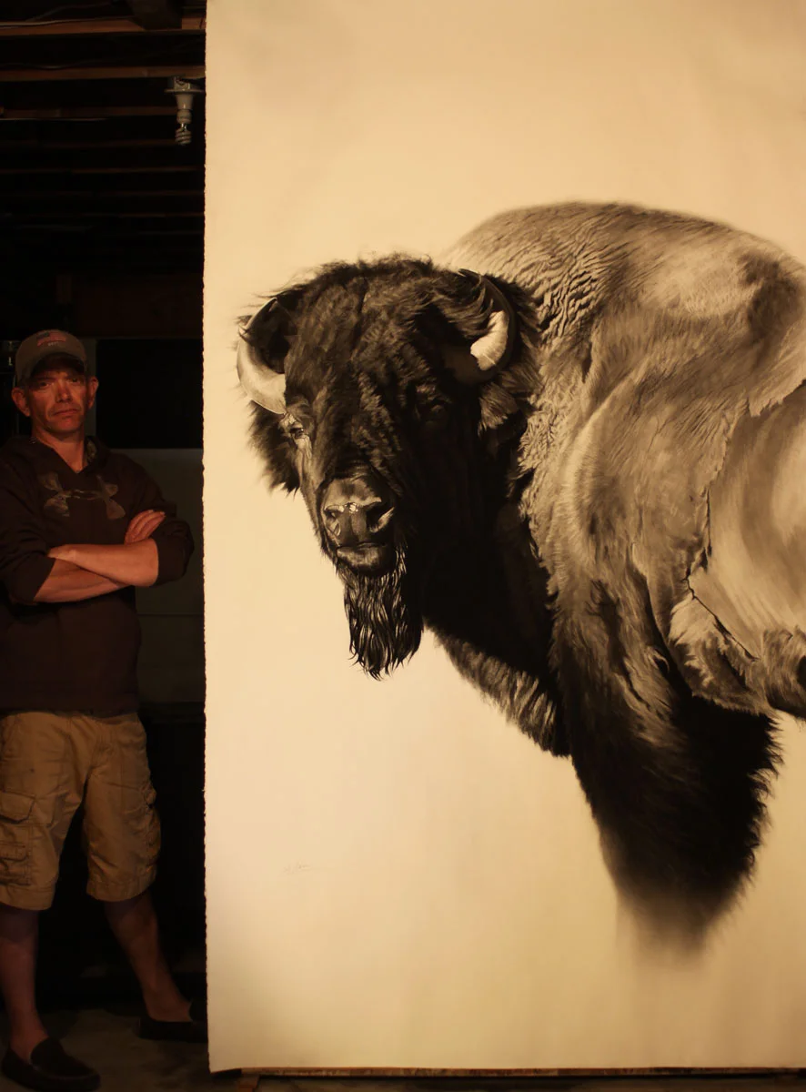 e Bison Study II w scale.jpg