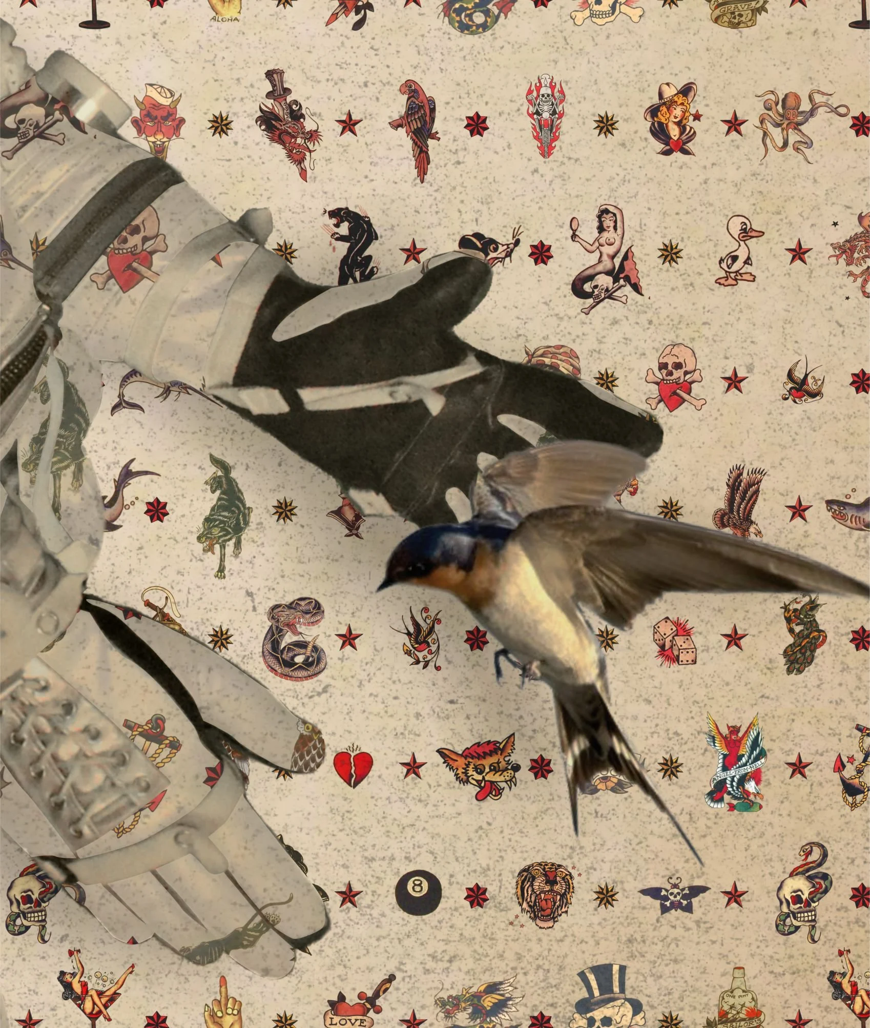 Star Sailor (Closeup 1).jpg