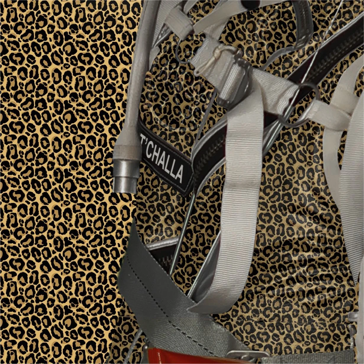 Spotted (Detail 3).jpg