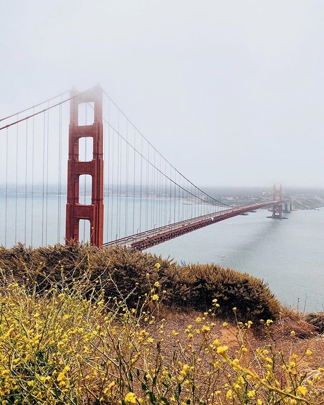 Even when it&rsquo;s full of fog and #☁️, I still love walking the #ggb. I snapped this bad boy on my birthday as I walked from my home all the way to #batteryspencer (6ish miles one way!). I have to say this is the best view of the bridge in all her