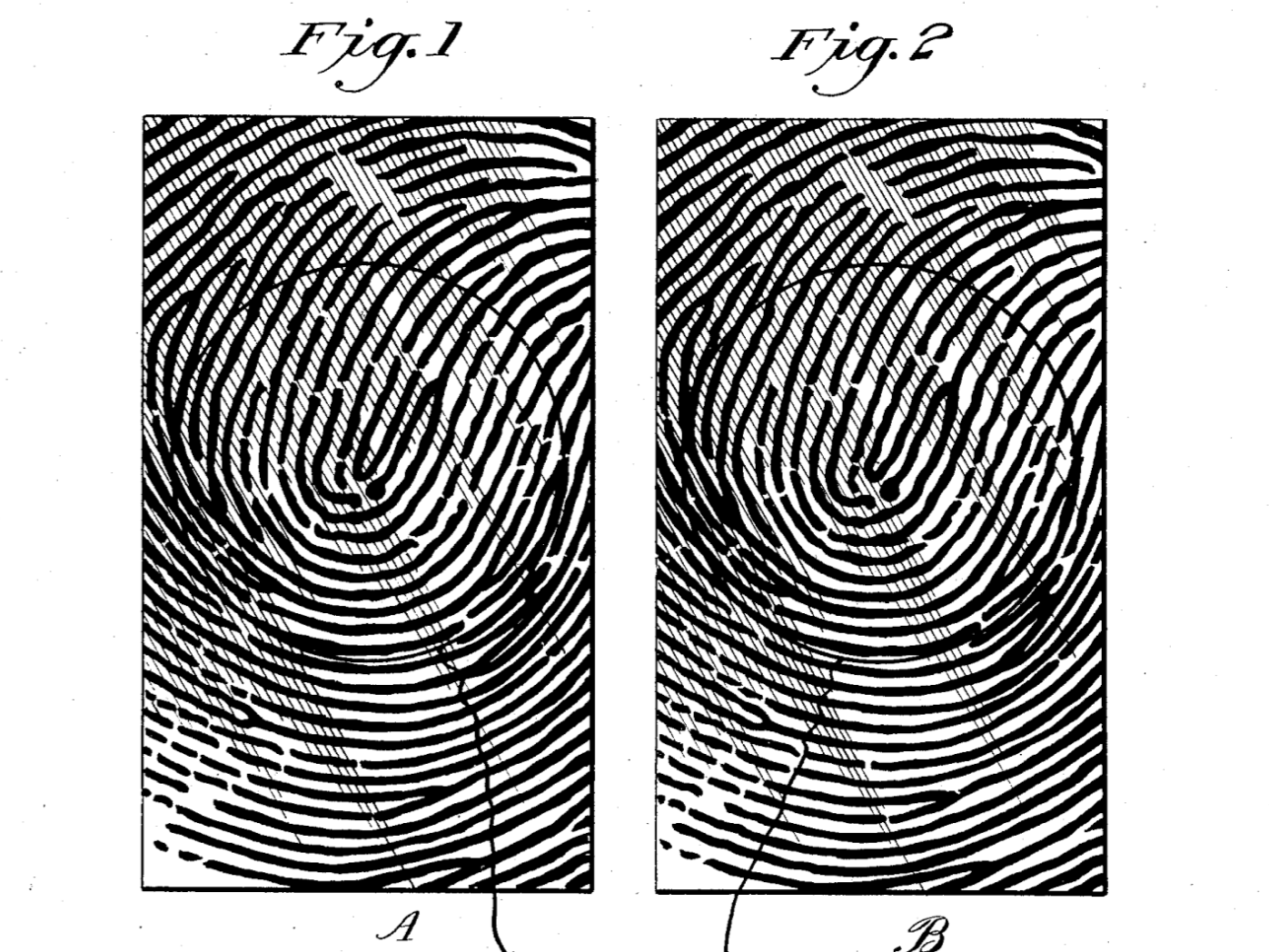 fingerprint-1928.png