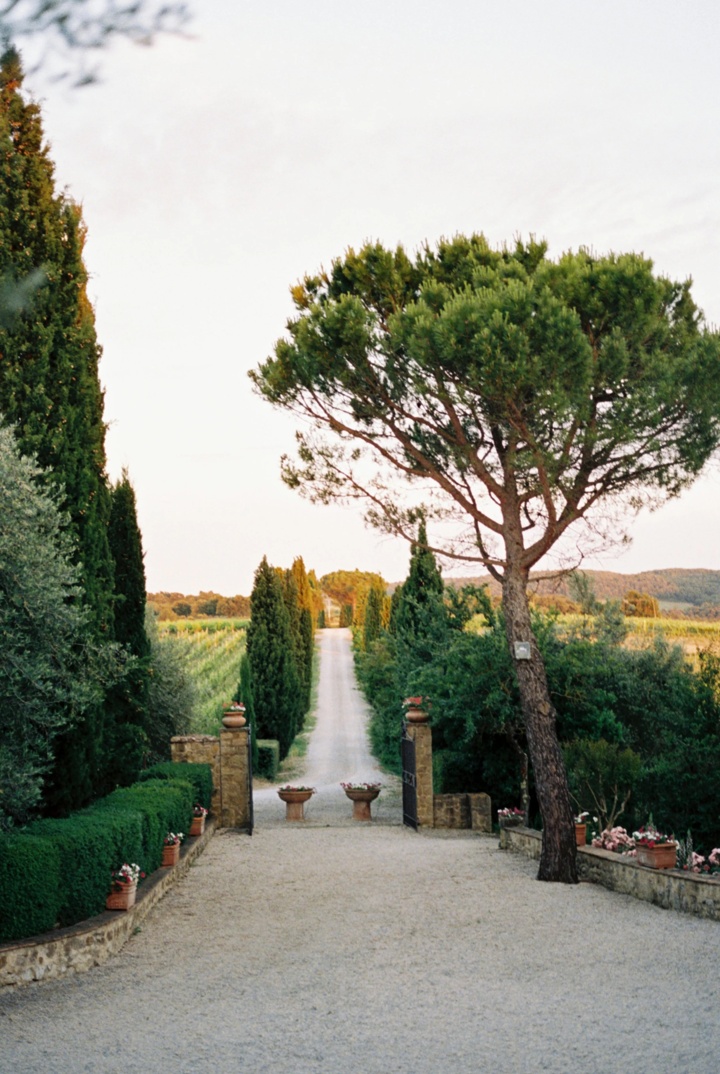 shirleen-jason-tuscany-italy-destination-wedding-27.jpg