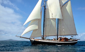 LENGTH: 90 ft. TYPE: Sail CLEARING HOUSE: Nicholson Yachts WEB SITE : www. schoonertreeoflife.com