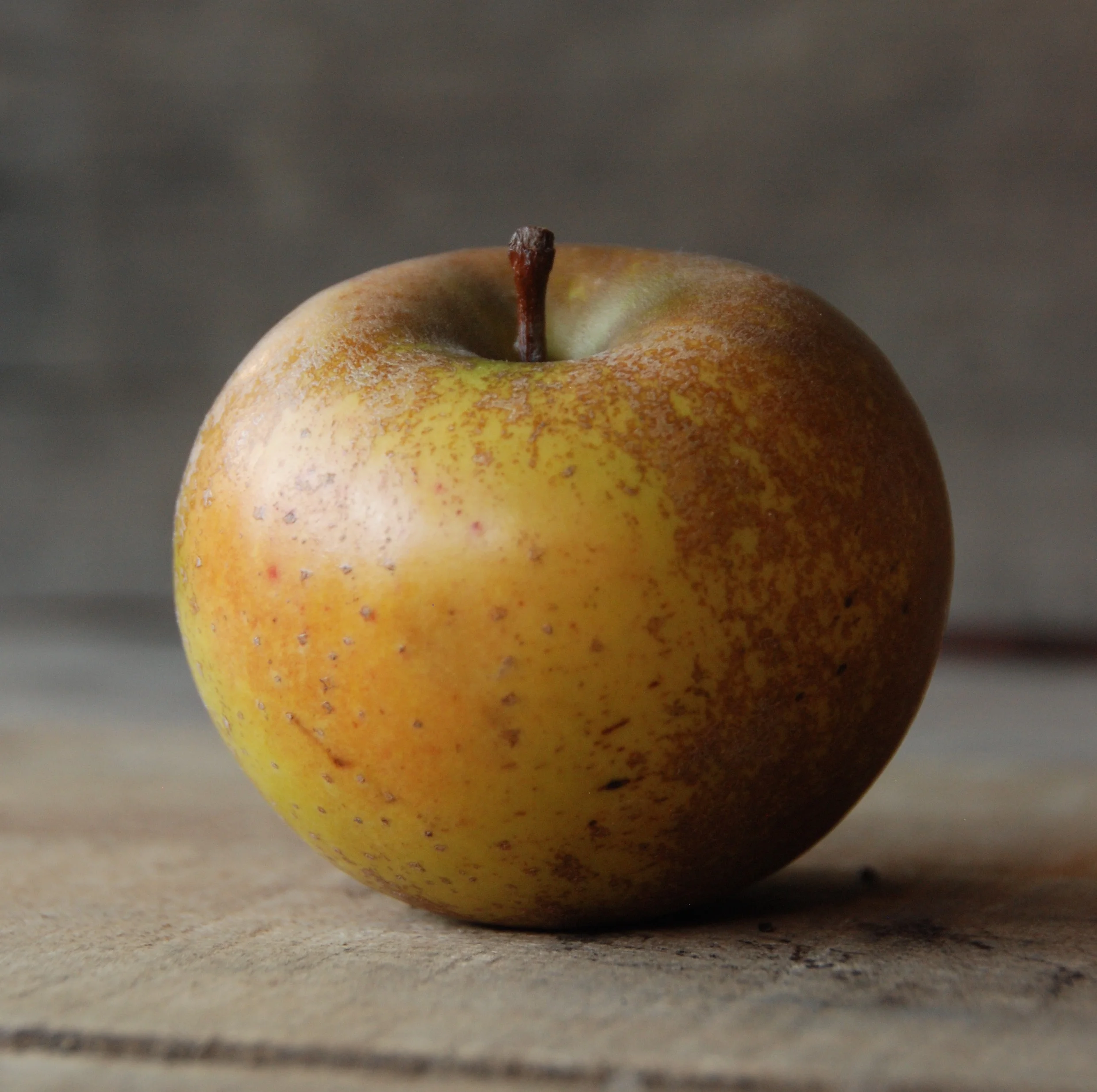 Roxbury Russet