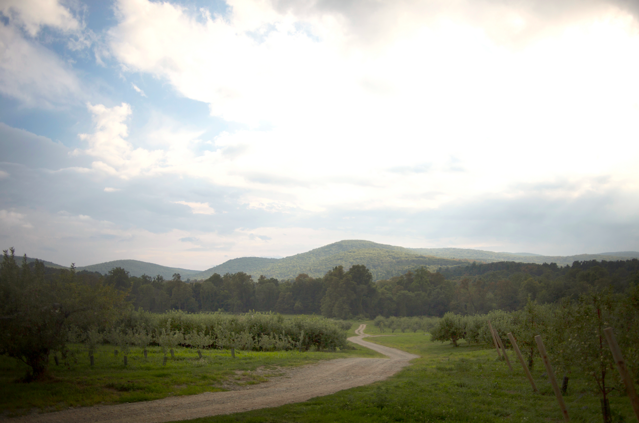 Grant Landscape.png