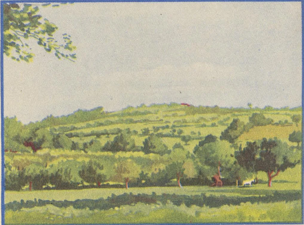 unnamed-4.jpg