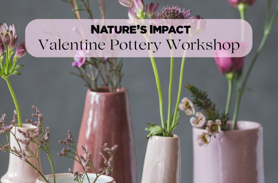 Pottery Class & Cider Sipping: Vase Workshop