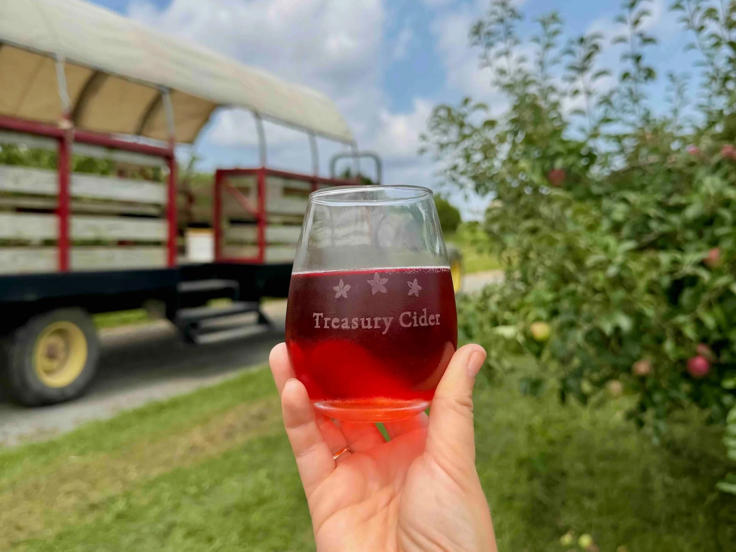 Cider Excursion