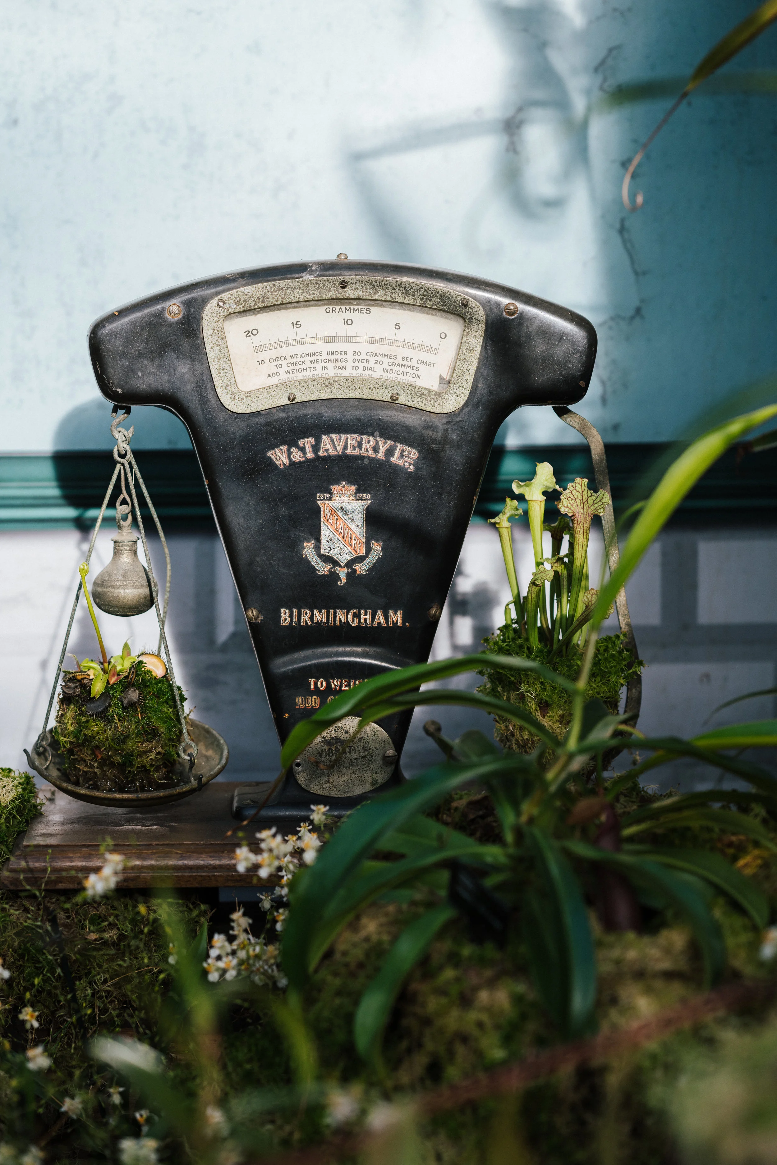 Tip the Scales in Your Favor [Mediumship Channel]