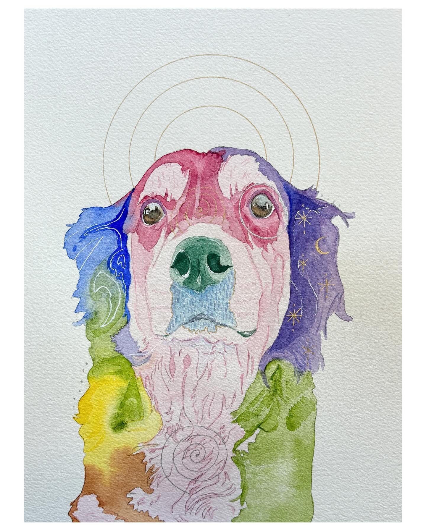 Daisy | New!

One of Daisy&rsquo;s most prominent colors is light pink. Daisy, without a doubt, is one of the most gentle, sweet souls I have connected to. She&rsquo;s at an advanced age, and that can really calm dogs down, but this gentleness feels 