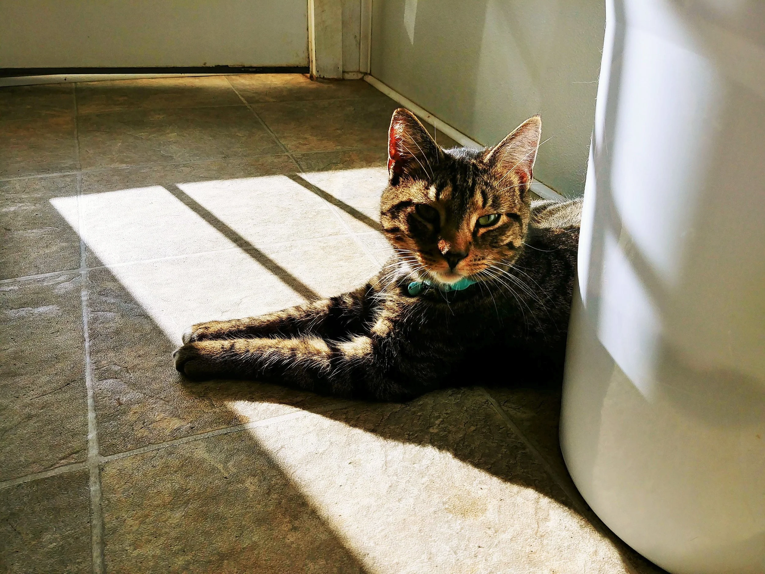 Sunbathing