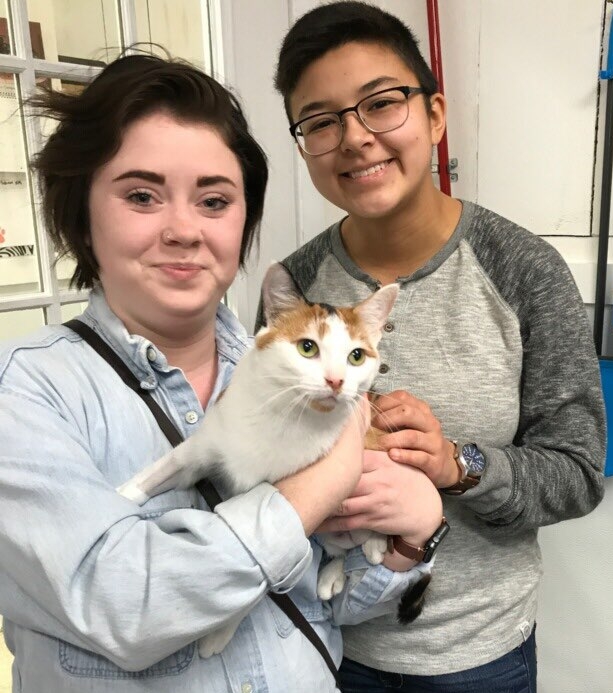 Elizabeth Haynes and Patches.jpg
