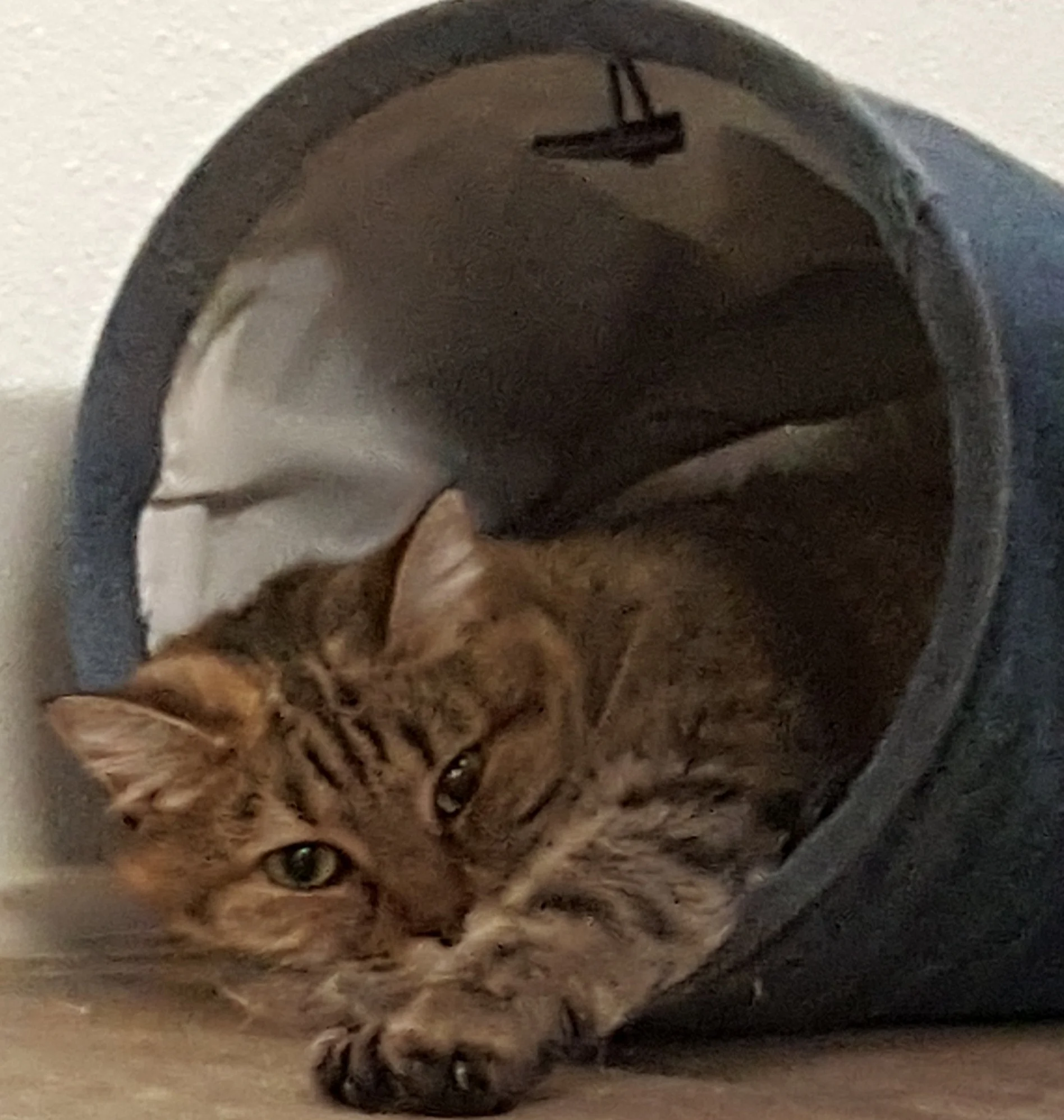 Tea Cup.jpg
