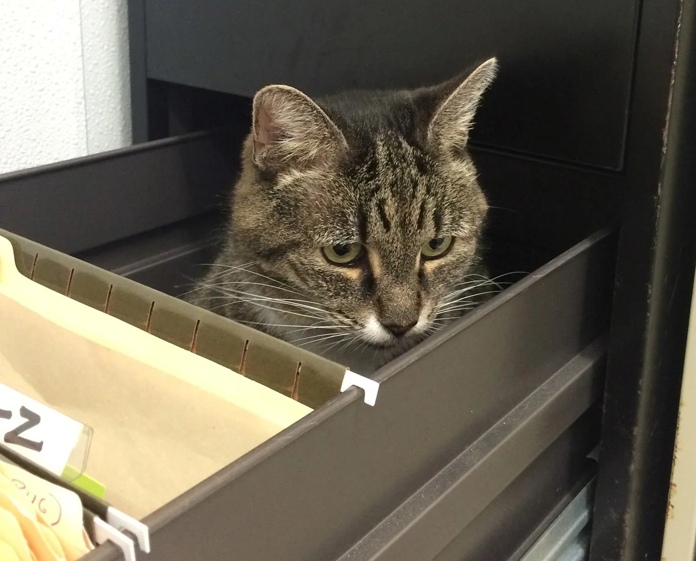 Furever in our Hearts, Mindy