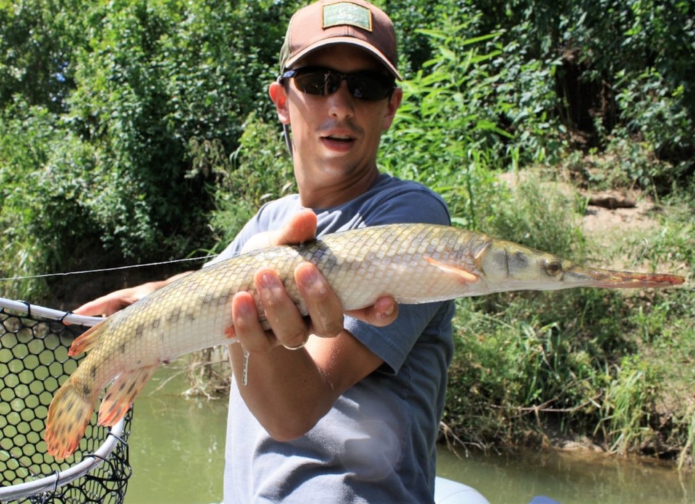  Alex holds a nice spotted gar from the San Gabriel River 