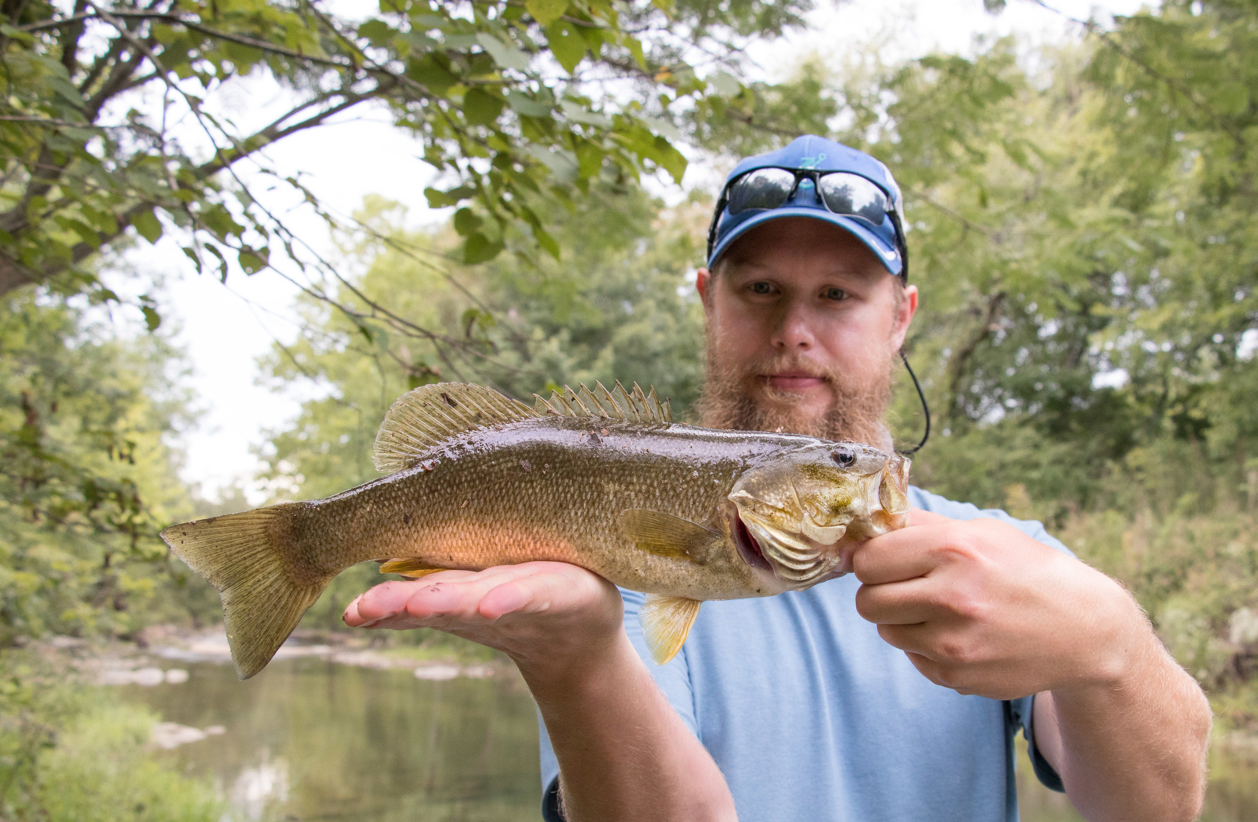  Smallmouth were in abundance, but this one was probably the largest smallie of the weekend. 