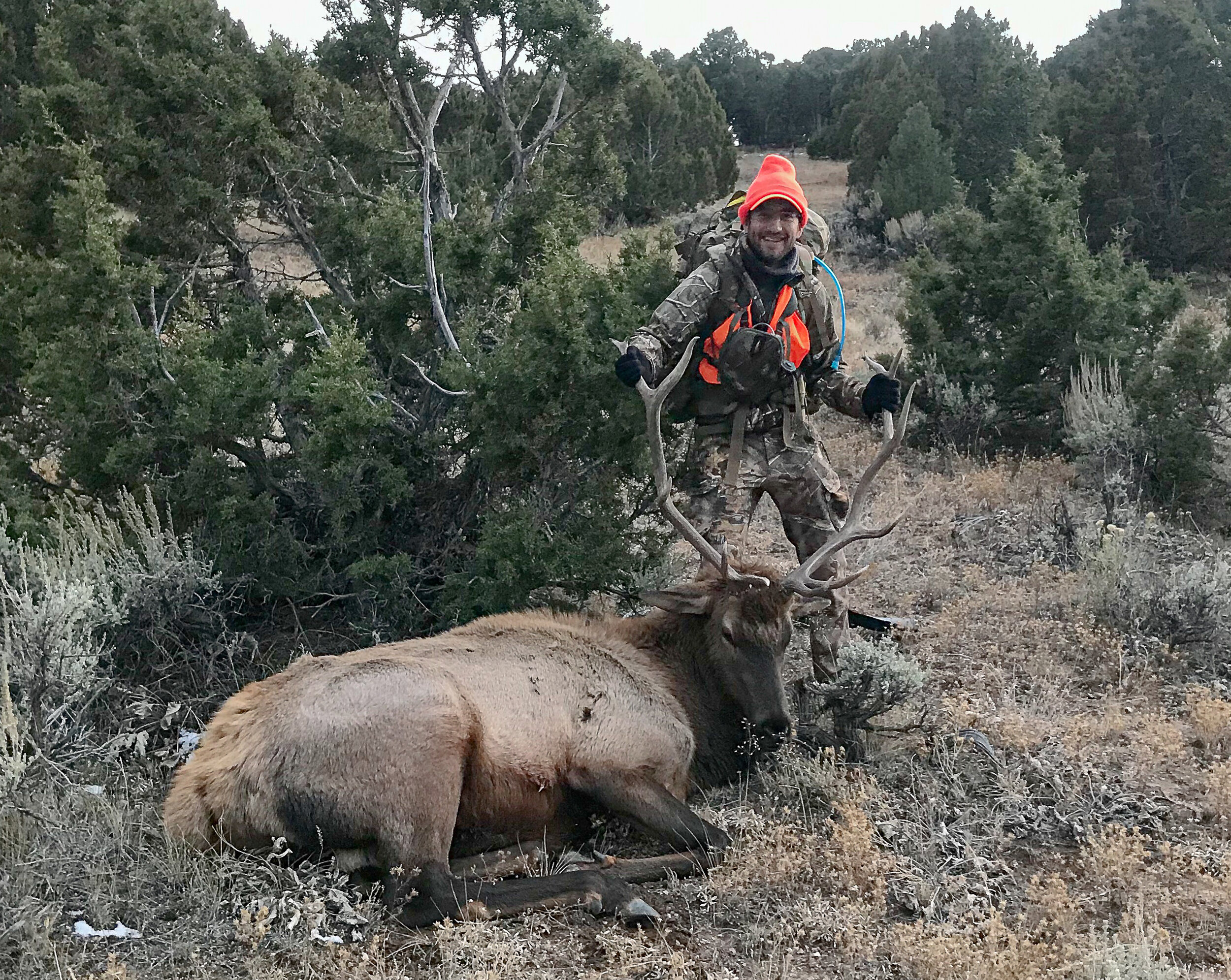 Damian with his bull