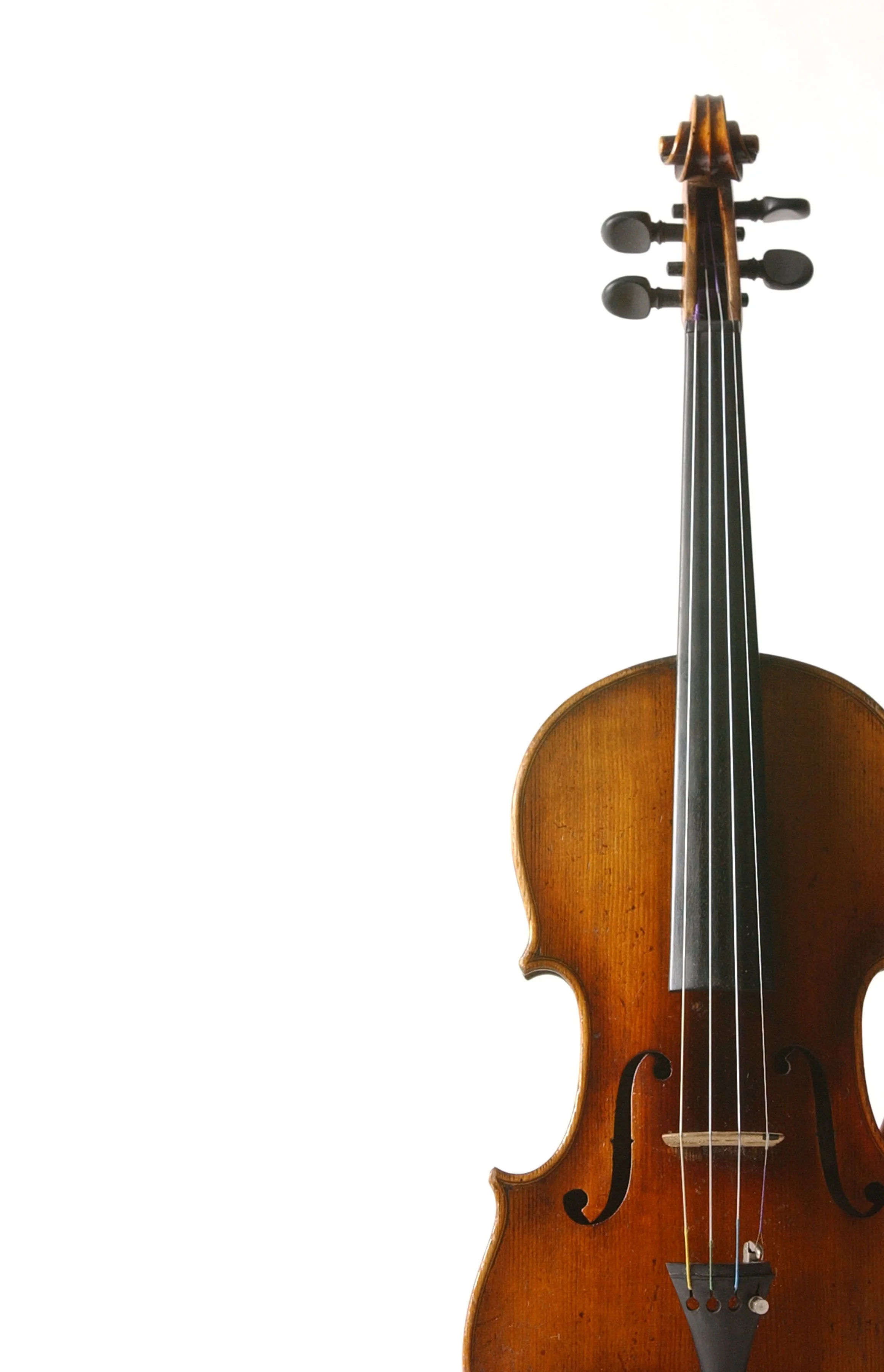 Viola.jpg
