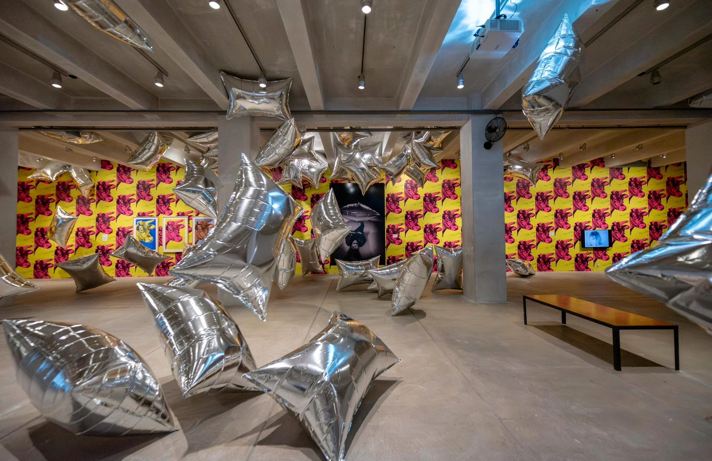 Warhol+Up+Up+Away+Exhibit_Schisler-1.jpg