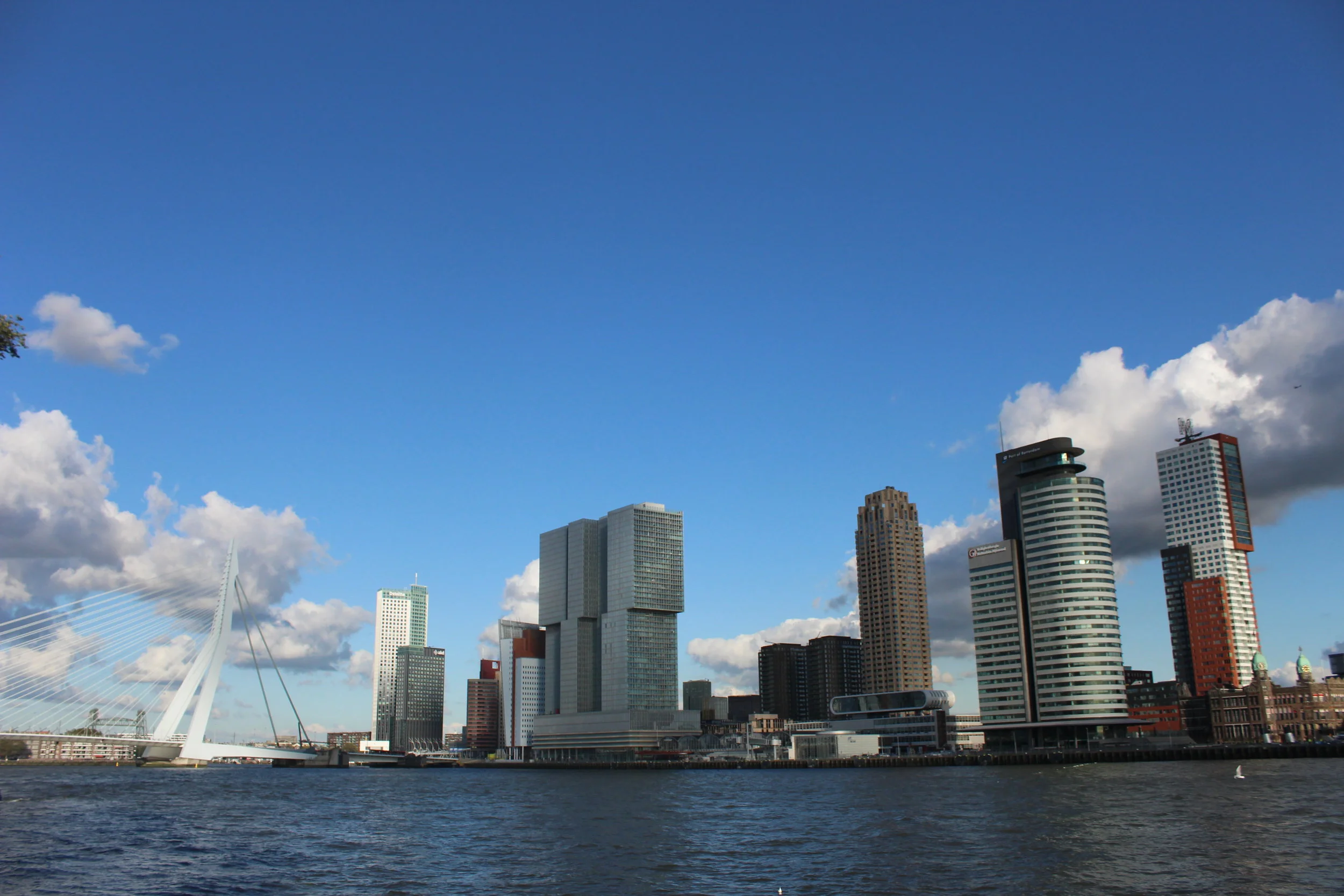 Quick Tips to Rotterdam