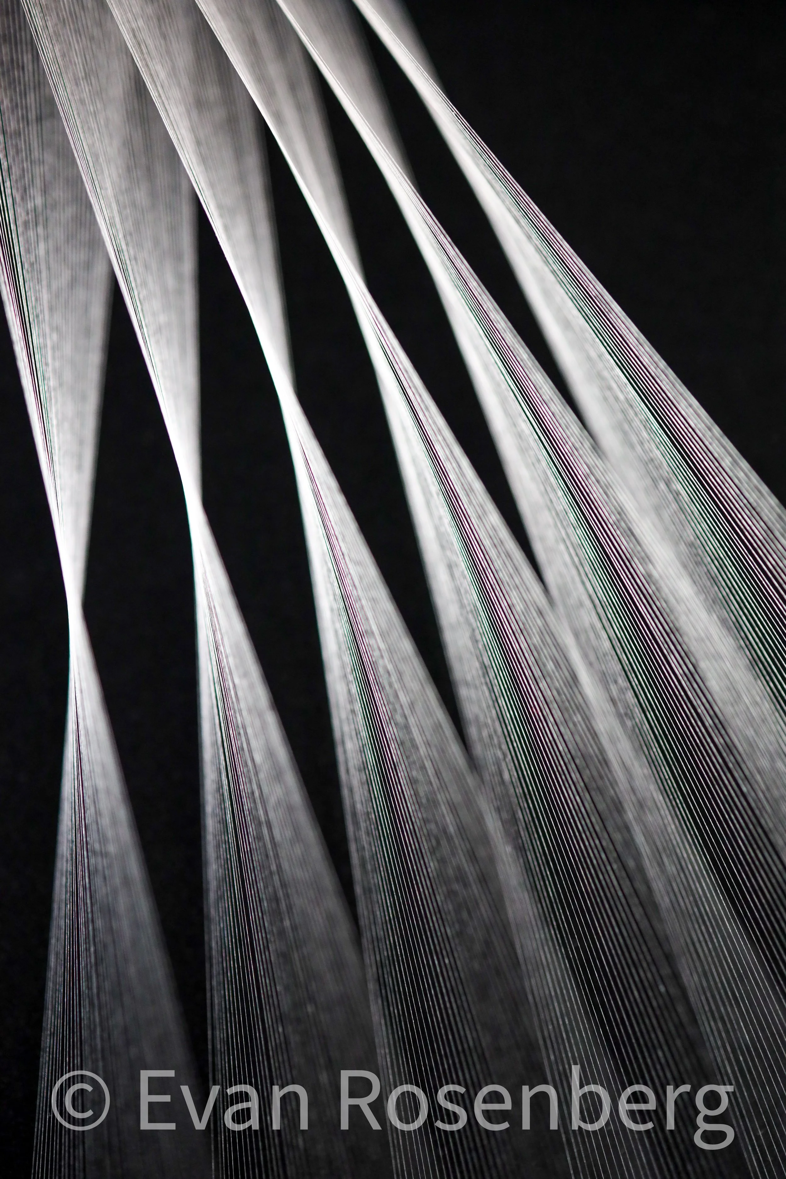 Perspective Photo of White II