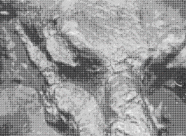 Grey People 99CTS RCRDS.gif