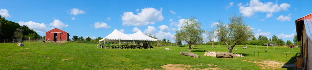 CharlesEditedWedding-80.jpg